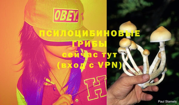 гидра Верхнеуральск
