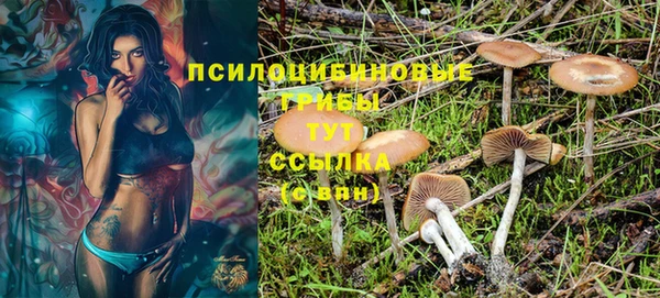 гидра Верхнеуральск