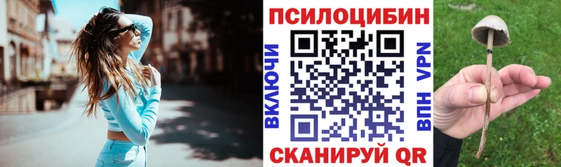 Галлюциногенные грибы Magic Shrooms  Подпорожье 